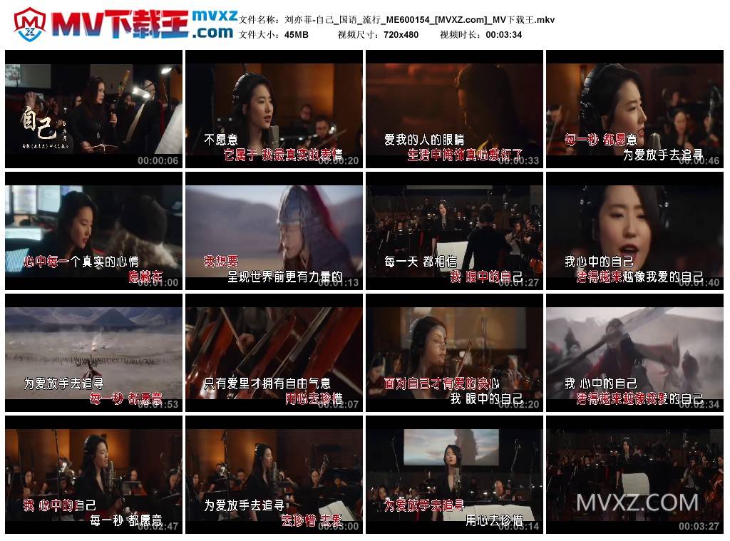 刘亦菲-自己_国语_流行_ME600154